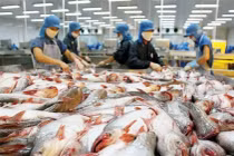 Xuất khẩu cá tra sang EU vẫn tiếp tục đà giảm