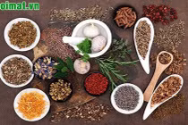 Các phương thuốc điều trị sỏi đường mật