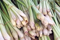 Cây sả giúp nhà vệ sinh thơm mát