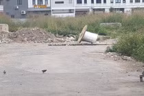 Hải Phòng chuẩn bị đấu giá 1,3ha “đất vàng” tại quận Ngô Quyền