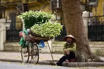 Người lao động xin xác nhận hưởng 1,5 triệu đồng không phải về quê