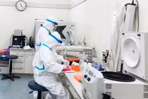 Xác định được 2 mẫu gene của các chùm ca bệnh