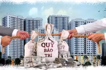 Hàng loạt “ông lớn” bất động sản sai phạm trong quản lý quỹ bảo trì