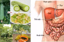 Món ăn - bài thuốc chữa viêm loét ruột kết
