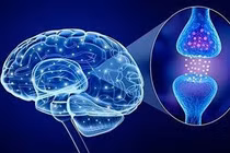 Lý giải 3 nguyên nhân phổ biến gây rối loạn lo âu 