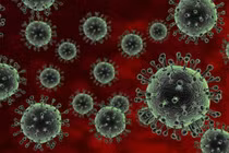 Chẩn đoán virus cúm gia cầm miễn phí