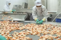 Xuất khẩu thủy sản có thể giảm 3,8% trong năm 2020