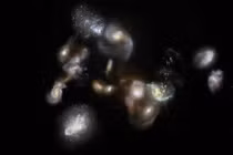Bất ngờ thông tin thiên hà hợp nhất sau vụ nổ Big Bang