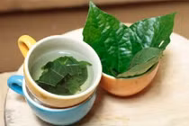 Lá lốt chữa chân răng sưng đau