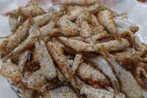 Cá to cá nhỏ