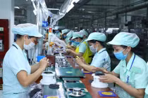 Doanh nghiệp Nhật Bản muốn mở rộng hoạt động tại Việt Nam