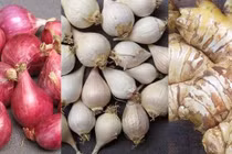 Mùa đông nên ăn gừng, hành, tỏi