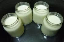 Sữa chua và những kiêng kỵ