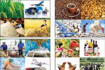 Việt Nam có thể trở lại nhập siêu 3 tỷ USD trong năm 2019