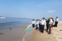 Sẽ theo dõi sát hiện tượng cồn cát nổi bất thường tại biển Cửa Đại, Hội An