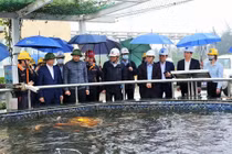 Đánh giá kết quả khắc phục các vi phạm của Formosa Hà Tĩnh