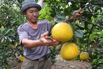 Biến nông thôn thành nơi đáng sống