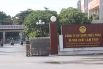 Phân bón Lâm Thao hy vọng có thể thoát lỗ trong năm 2020 