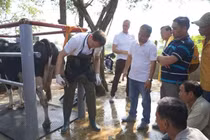 Nông dân Việt Nam & nông dân Hà Lan giao lưu, tập huấn kỹ thuật chăn nuôi bò sữa