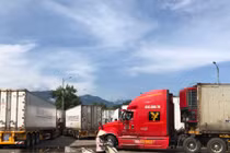 Có hay không chuyện thanh long Bình Thuận xuất sang Trung Quốc 'nhiễm Covid-19 trên bao bì'?
