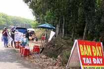 Vạch "thủ phạm" gây sốt đất, hé lộ sự thật chiêu làm giàu không khó