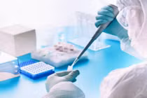 Việt Nam sắp thử nghiệm giai đoạn 2 văcxin Covid-19 trên chuột