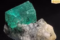 Loại đá quý được ví như ngọc của biển cả