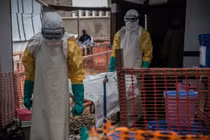 Dịch Ebola bùng phát giữa Covid-19