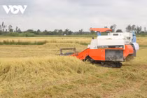 Dịch Covid-19 và bài toán chuỗi liên kết sản xuất tiêu thụ trong nông nghiệp
