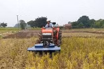 Máy “hai trong một”, cắt và băm gốc rạ