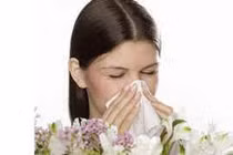 Phương dược trị tắc mũi, đau trán, mệt mỏi