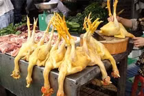 Nguy cơ khi ăn thịt gia cầm già, thải