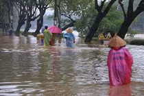 Tự lọc nước