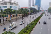 Hà Nội sẽ trả tất cả cây phong lá đỏ cho công ty tài trợ