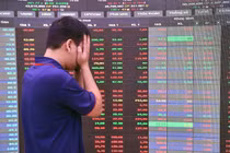 VN-Index lao dốc do lo ngại ‘bom nợ’ Evergrande
