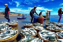 Thủy sản đặt mục tiêu xuất khẩu 10 tỷ USD trong năm 2019