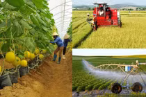 Phấn đấu 5.000 hợp tác xã công nghệ cao vào năm 2030