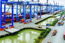 Chuyển đổi số ngành logistics: Thời đại "cá nhanh" thắng "cá chậm"