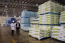 Nhập khẩu hơn 3 tỷ USD thức ăn chăn nuôi trong 8 tháng.