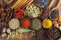 Thuốc trị đau đầu chóng mặt do rối loạn tiền đình