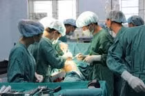 Nhiễm khuẩn khớp háng sau thay khớp