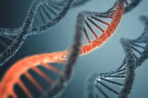 Nhận thức về vai trò RNA có thể hình thành phương pháp điều trị ung thư mới