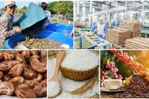 Tiêu thụ nông sản: Bộ muốn cả chuỗi sáng tạo, cả chuỗi cần bộ sáng ý