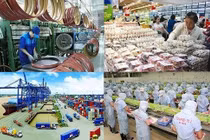 Dự báo kinh tế Việt Nam có thể tăng trưởng 3%
