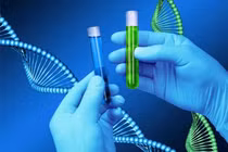  Hệ thống gene xác định huyết thống