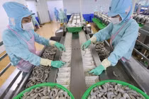 VASEP dự báo, trong tháng 10, xuất khẩu thủy sản sẽ tiếp tục giảm sâu.