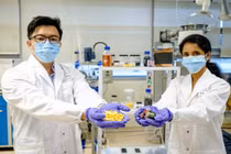 Vỏ trái cây giúp tái chế pin lithium