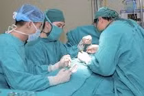  Lún dương vật khiến tiểu tiện khó 