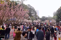 Hà Nội chuẩn bị Hội nghị xúc tiến đầu tư, du lịch với Nhật Bản
