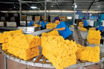 Xuất khẩu cao su giảm liên tiếp trong 4 tháng năm 2020